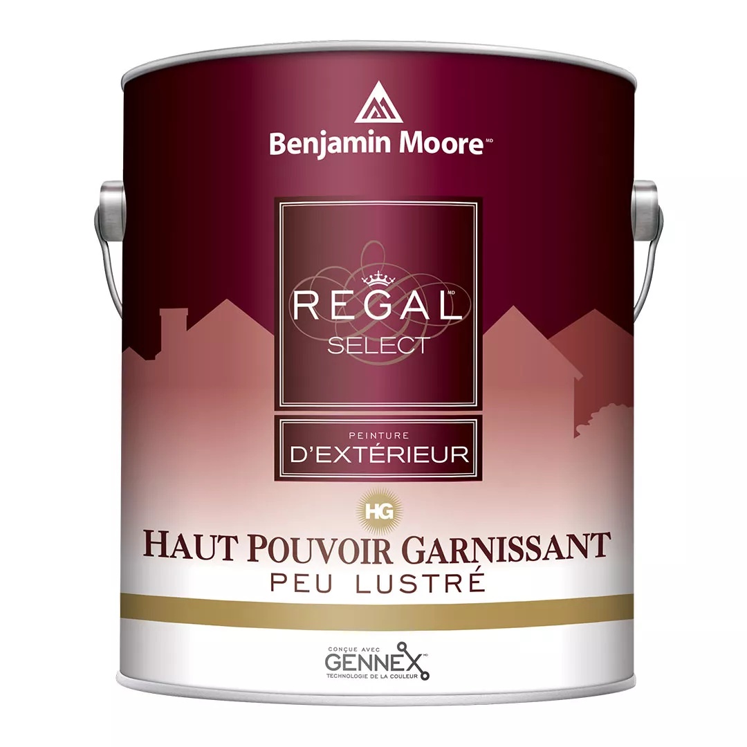 PEINTURE RÉGAL EXTÉRIEUR FINI PEU LUSTRÉ