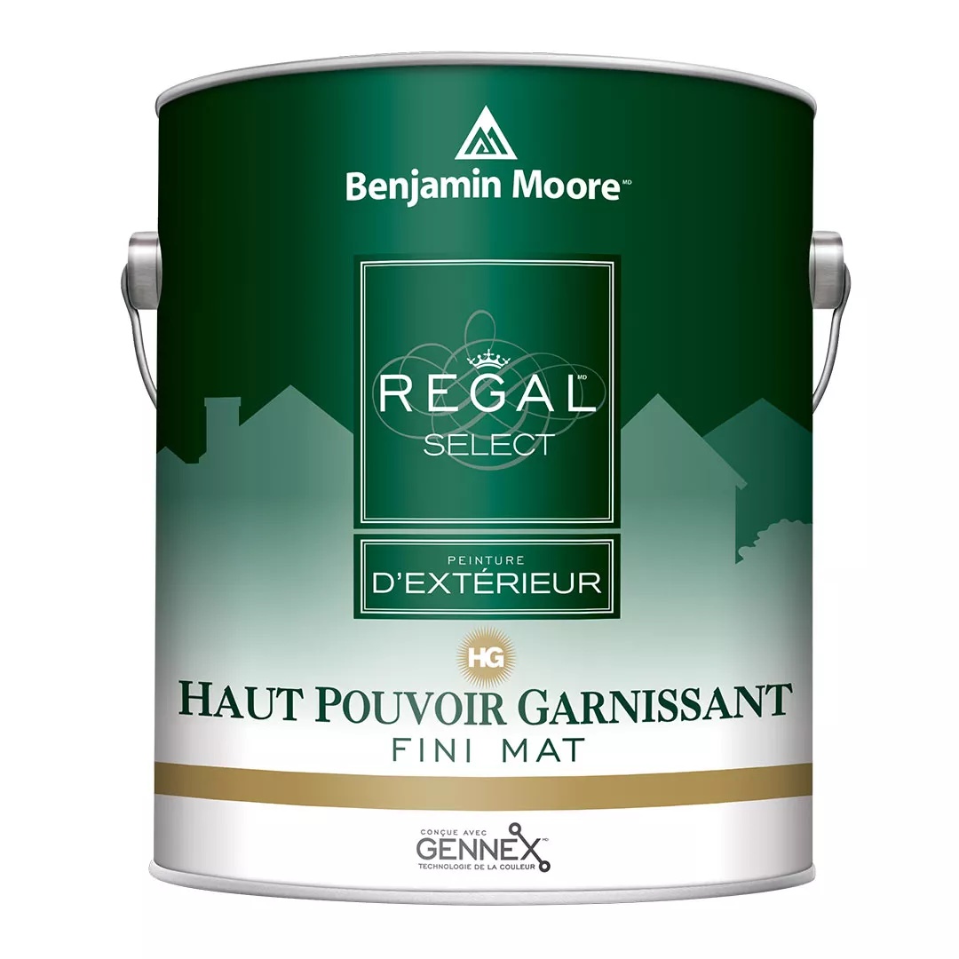 PEINTURE RÉGAL EXTÉRIEUR FINI MAT