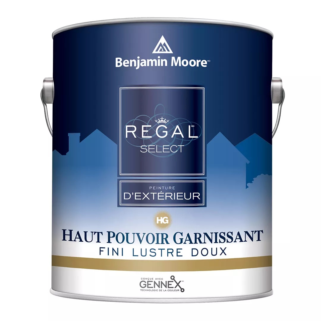 PEINTURE RÉGAL EXTÉRIEUR FINI LUSTE DOUX
