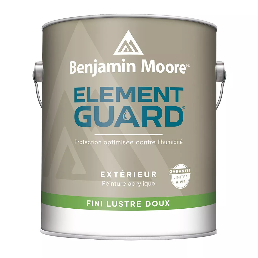 PEINTURE ÉLÉMENT GUARD POUR L
