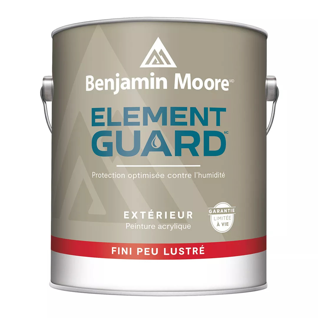 PEINTURE ÉLÉMENT GUARD POUR L
